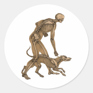 skeleton man and dog human animal anatomy art   classic round sticker