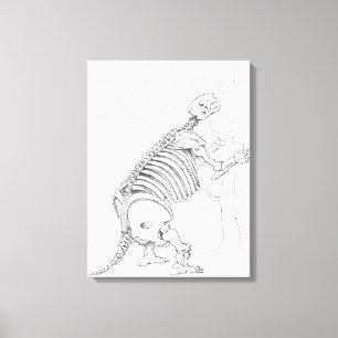 Skeleton of a Mylodon Canvas Print