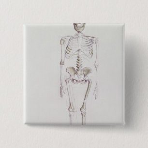 Skeleton of Australopithecus africanus 15 Cm Square Badge