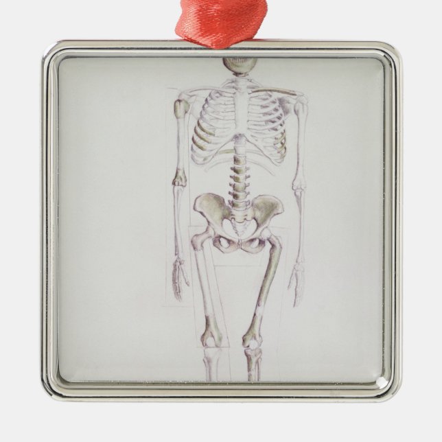 Skeleton of Australopithecus africanus Metal Tree Decoration (Front)
