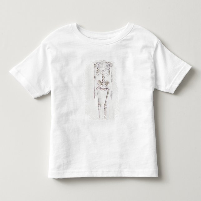 Skeleton of Australopithecus africanus Toddler T-Shirt (Front)
