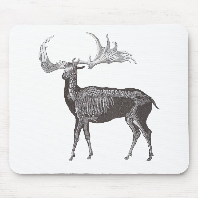 Skeleton of Irish Elk - Megaceros hibernicus Mouse Mat (Front)