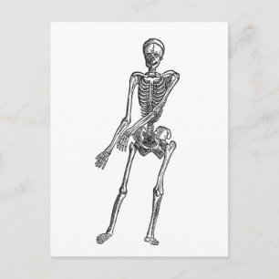 Skeleton Postcard