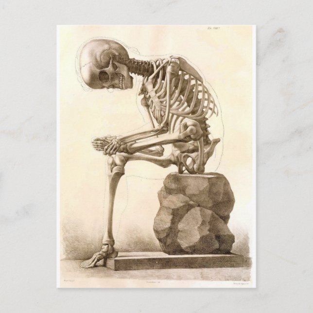 skeleton postcard (Front)