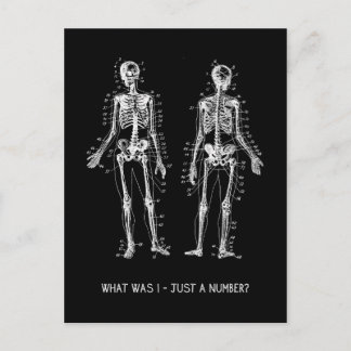 Skeleton Questions for Halloween Postcard