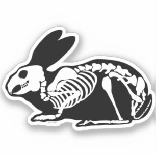 Skeleton Rabbit