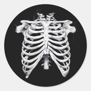 Skeleton Rib Cage Halloween Costume Classic Round Sticker