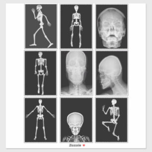 skeleton Skull Human Body XRAYS Collage sheet art 