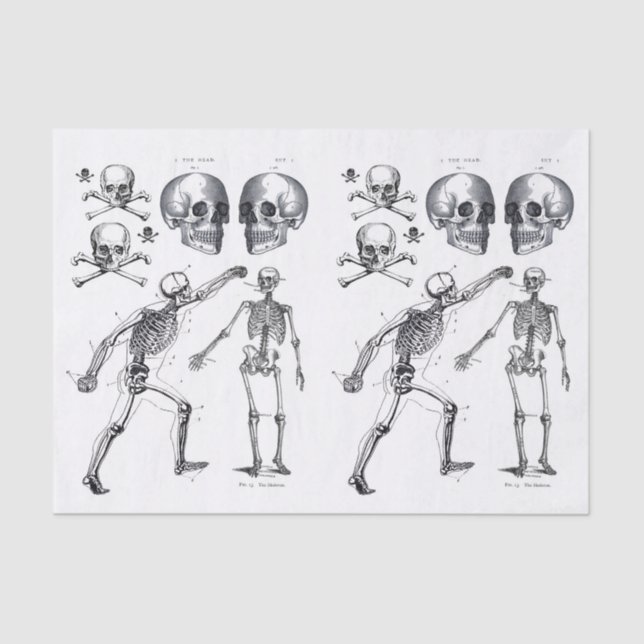 Skeleton Skulls Skull n Bones Decoupage Collage Ti Tissue Paper (Front)