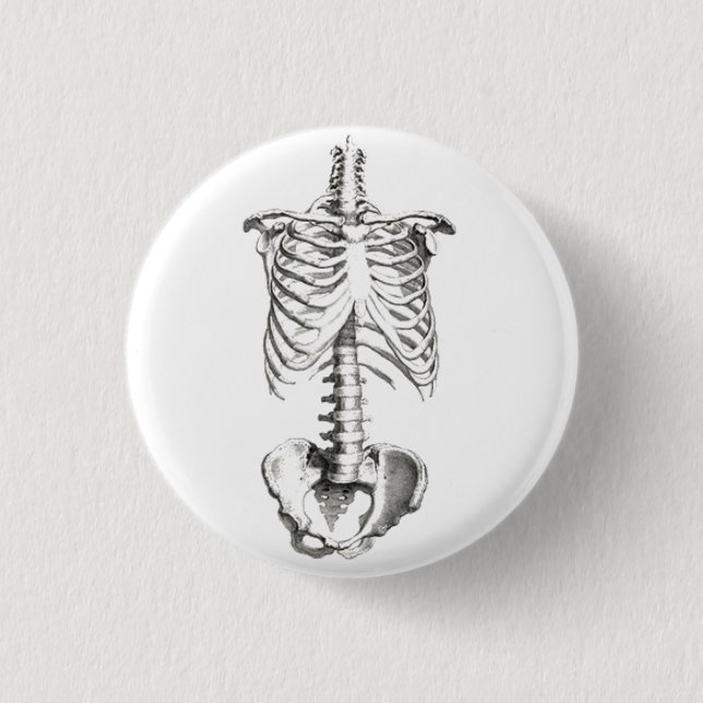 Skeleton Torso Anatomy Spooky button pin (Front)