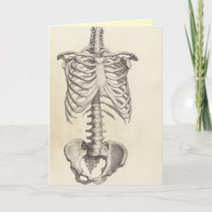 Skeleton Torso Card