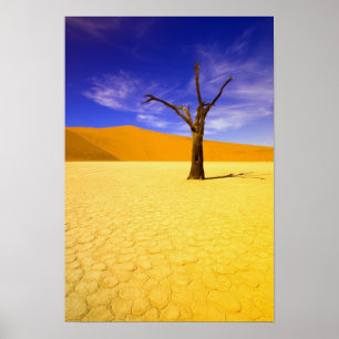 Skeleton trees in Dead Vlei Sossusvlei, Poster