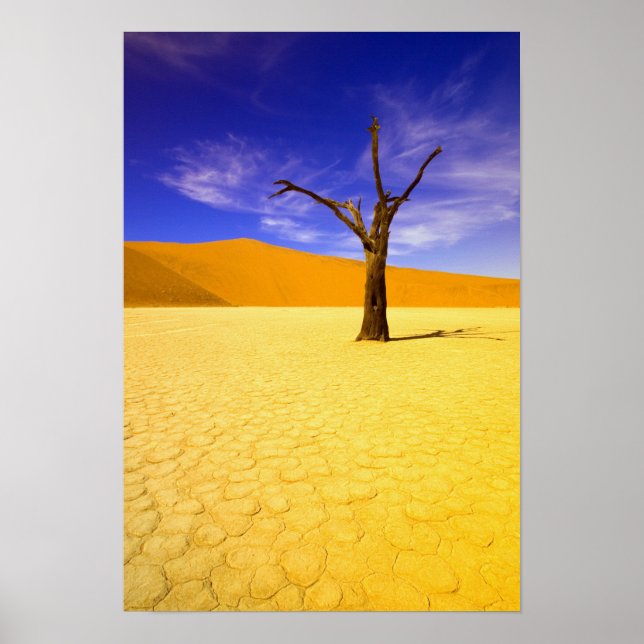 Skeleton trees in Dead Vlei Sossusvlei, Poster (Front)