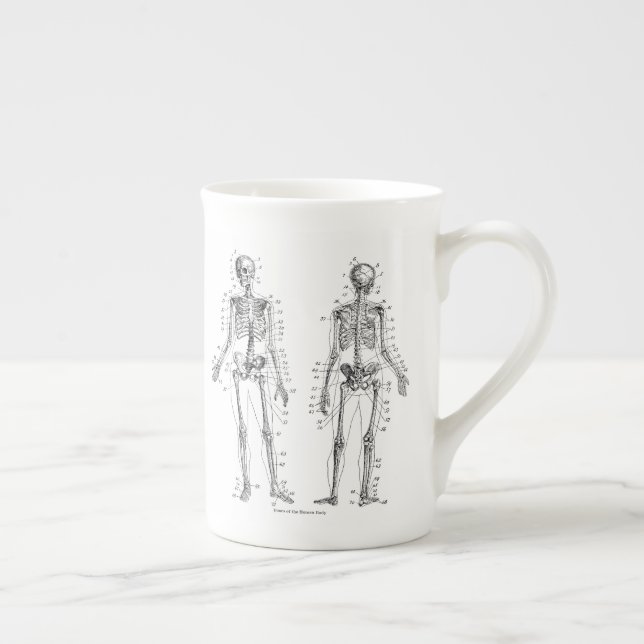 Skeleton Vintage Diagram Bone China Porcelain Mug (Right)