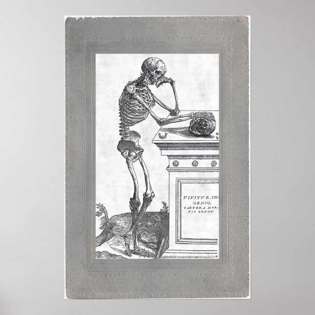 Skeleton With Skull Poster (Front)