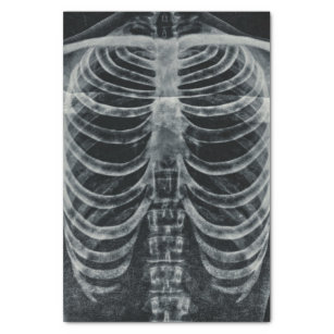 Skeleton Xray Rib Cage Vintage Black White Gothic Tissue Paper