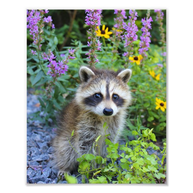 Skelly print (Front)