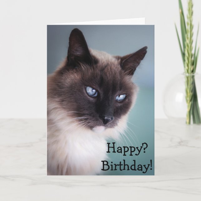 Skeptical or grumpy cat: Happy? Birthday! Card (Front)
