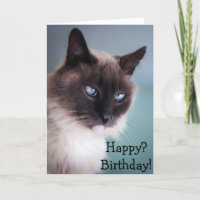 Skeptical or grumpy cat: Happy? Birthday!