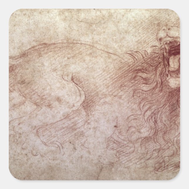 Sketch of a roaring lion square sticker (Front)