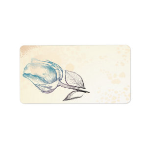 Sketch of a rose, labels
