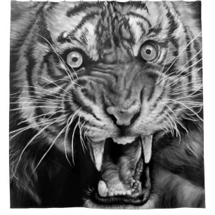 Sketch of a wild tiger in black and whiteblack,whi shower curtain