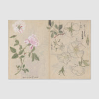 Sketchbook Pl. 107 by Ariyoshi Kondo