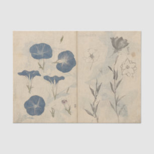 Sketchbook Pl. 112 by Ariyoshi Kondo Tissue Paper
