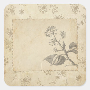 Sketched Botanical Vintage Scrapbook Embellishment Square Sticker