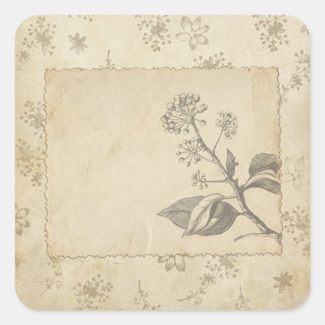 Sketched Botanical Vintage Scrapbook Embellishment Square Sticker (Front)