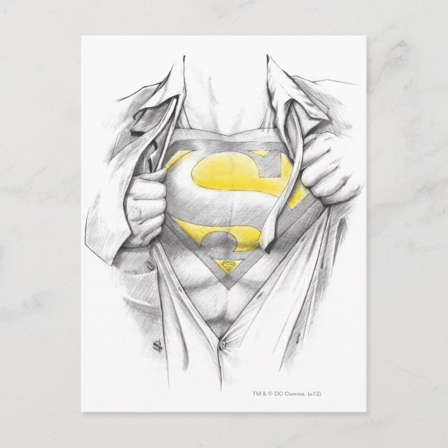 Sketched Chest Superman Logo Postcard (Front)