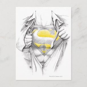 Sketched Chest Superman Logo Postcard