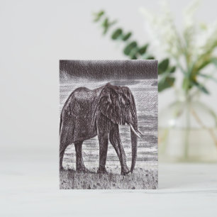 Sketched elephant postcard