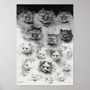 Sketches of the Cat, Louis Wain Poster