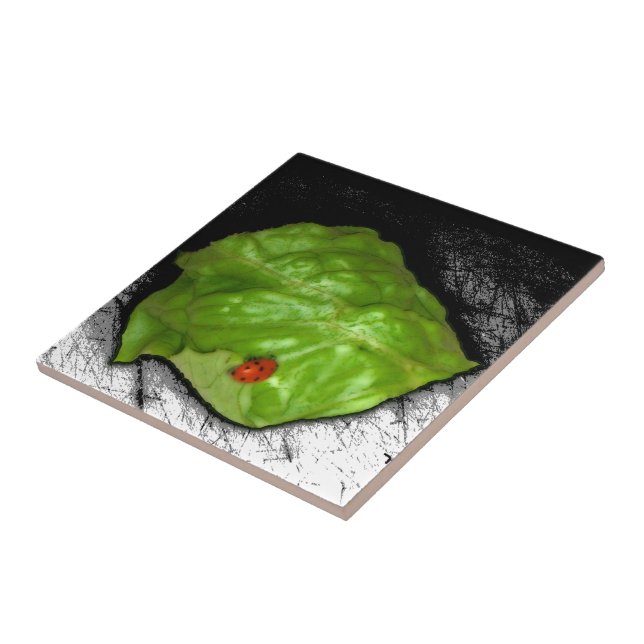 Sketchy Illustration of a Ladybug on Leaf Tile (Side)