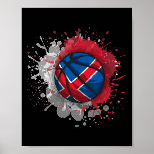 Sketll With Iceland Flag Poster