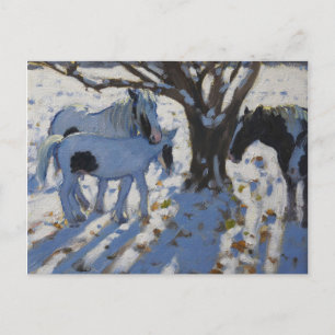 Skewbald Ponies in Winter 2012 Postcard
