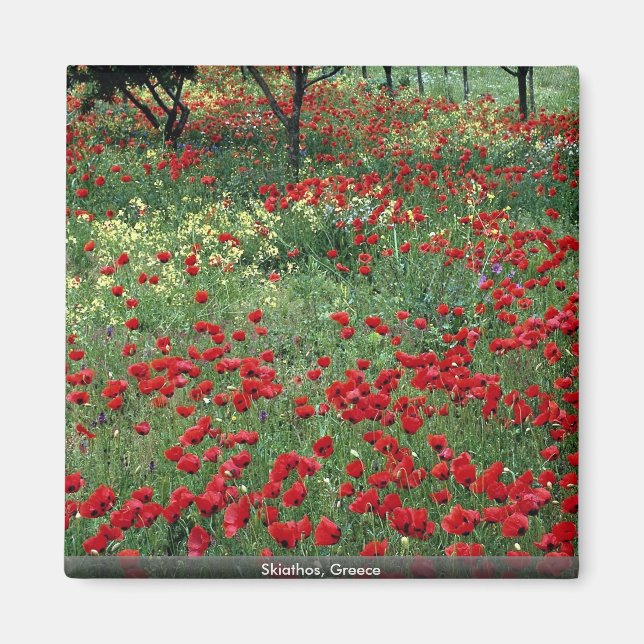 Skiathos, Greece Magnet (Front)