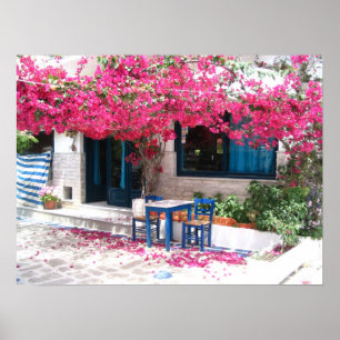 skiathos town bougainvillea 1196 poster