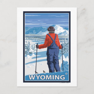 Skier AdmiringWyoming Postcard