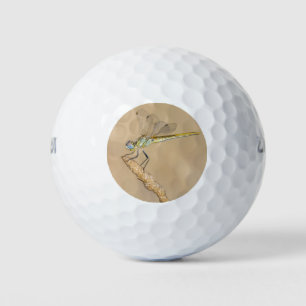 Skimmer Dragonfly Insect Female (CC BY 4.0) Golf Balls