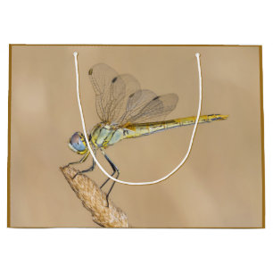 Skimmer Dragonfly Insect Female (CC BY 4.0) Large Gift Bag