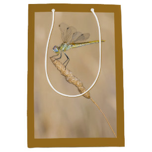 Skimmer Dragonfly Insect Female (CC BY 4.0) Medium Gift Bag