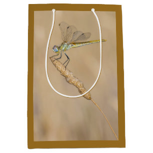 Skimmer Dragonfly Insect Female (CC BY 4.0) Medium Gift Bag