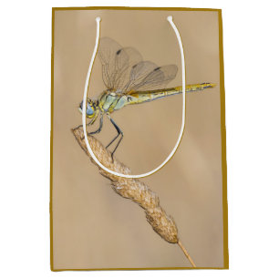 Skimmer Dragonfly Insect Female (CC BY 4.0) Medium Gift Bag