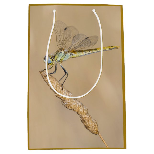 Skimmer Dragonfly Insect Female (CC BY 4.0) Medium Gift Bag (Front)