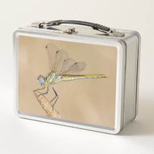 Skimmer Dragonfly Insect Female (CC BY 4.0) Metal Lunch Box