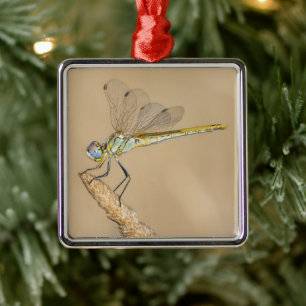 Skimmer Dragonfly Insect Female (CC BY 4.0) Metal  Tree Decoration