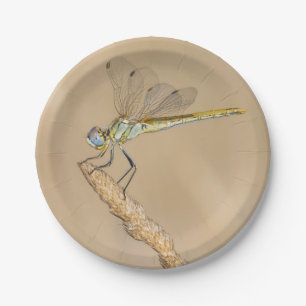 Skimmer Dragonfly Insect Female (CC BY 4.0) Paper Plate