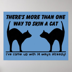 Skin A Cat Funny Poster Print Sign Humour